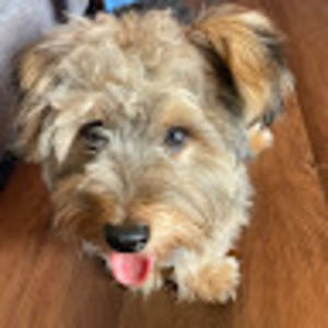 Meet your Posher, Jade